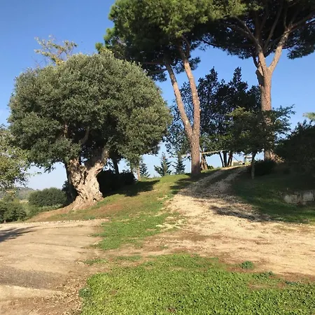 Il Poderino *