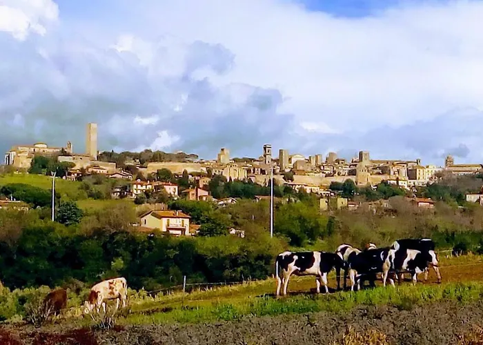 Il Poderino Alloggio per agriturismo Tarquinia