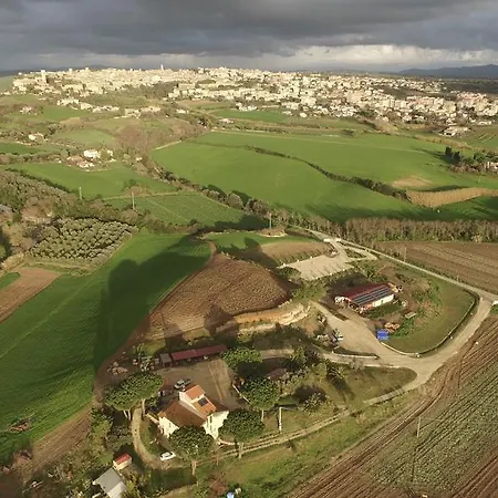 Il Poderino 타르퀴니아