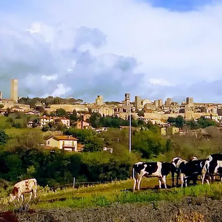 Il Poderino Farmház Tarquinia